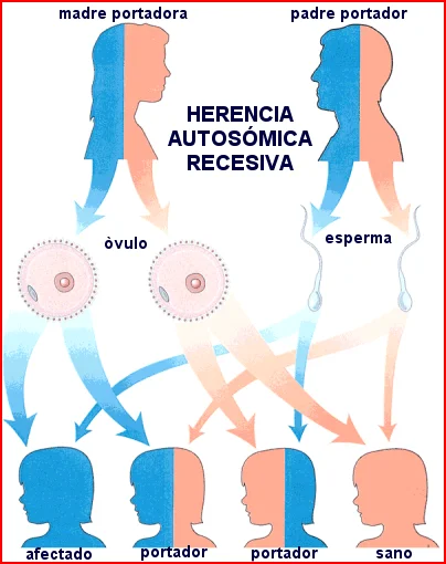 Comprende a fondo la ataxia: causas y soluciones
