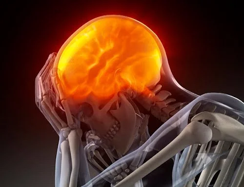 Impacto de las Drogas en el Sistema Nervioso