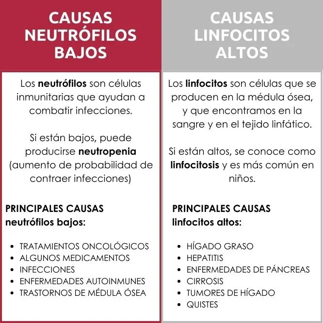 Linfocitos elevados: causas y significado en la salud