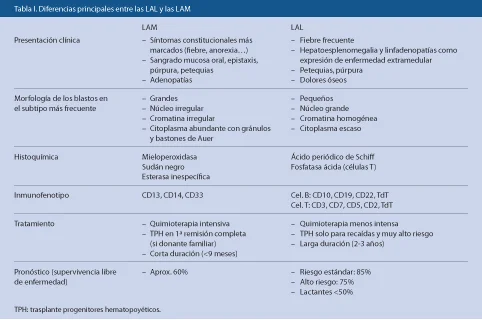 Misterios de los linfoblastos: funciones y características clave