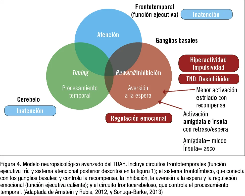 Razones del incremento en los casos de TDAH