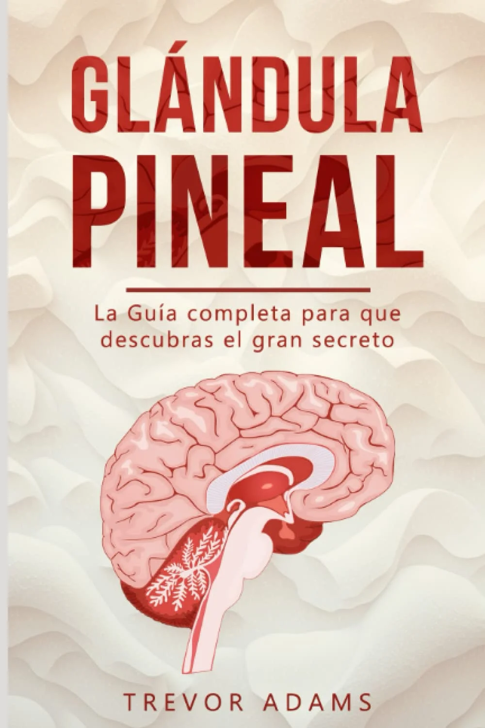 Secretos de la glándula pineal: funciones y beneficios ocultos
