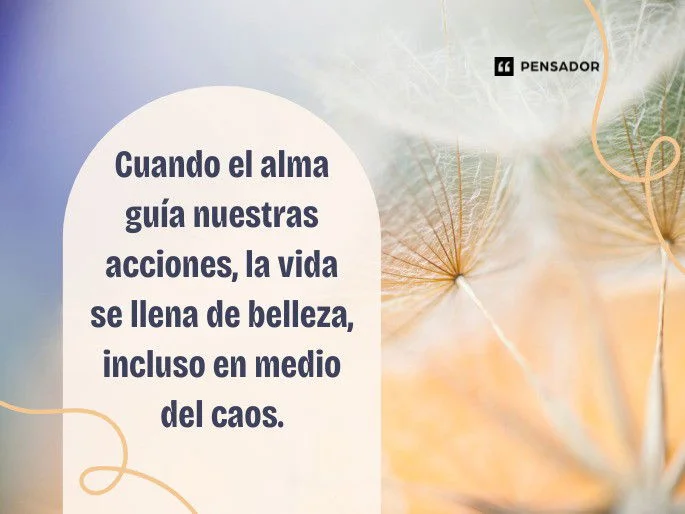 Conecta con la esencia: frases que inspiran el alma