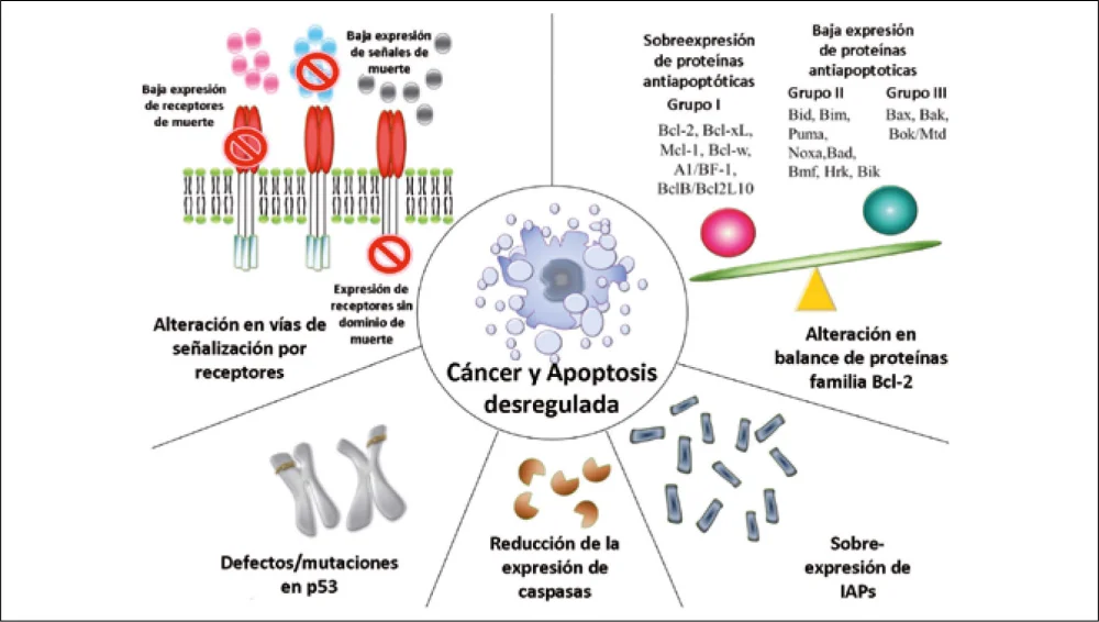 Conoce más sobre la Neoplasia: Impacto y Tratamientos