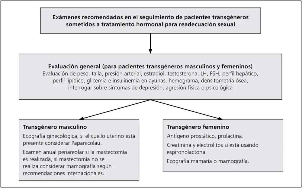 Dificultades para hallar psicólogos para trans mayores de 30 años