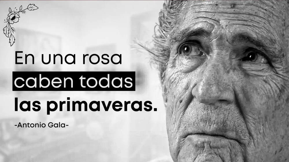 Citas memorables de Antonio Gala: esencia literaria