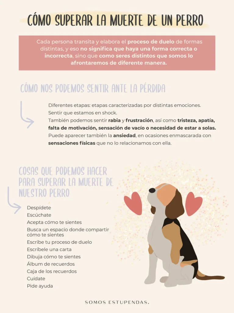 Guía para Ayudar a Tus Hijos tras la Pérdida de una Mascota