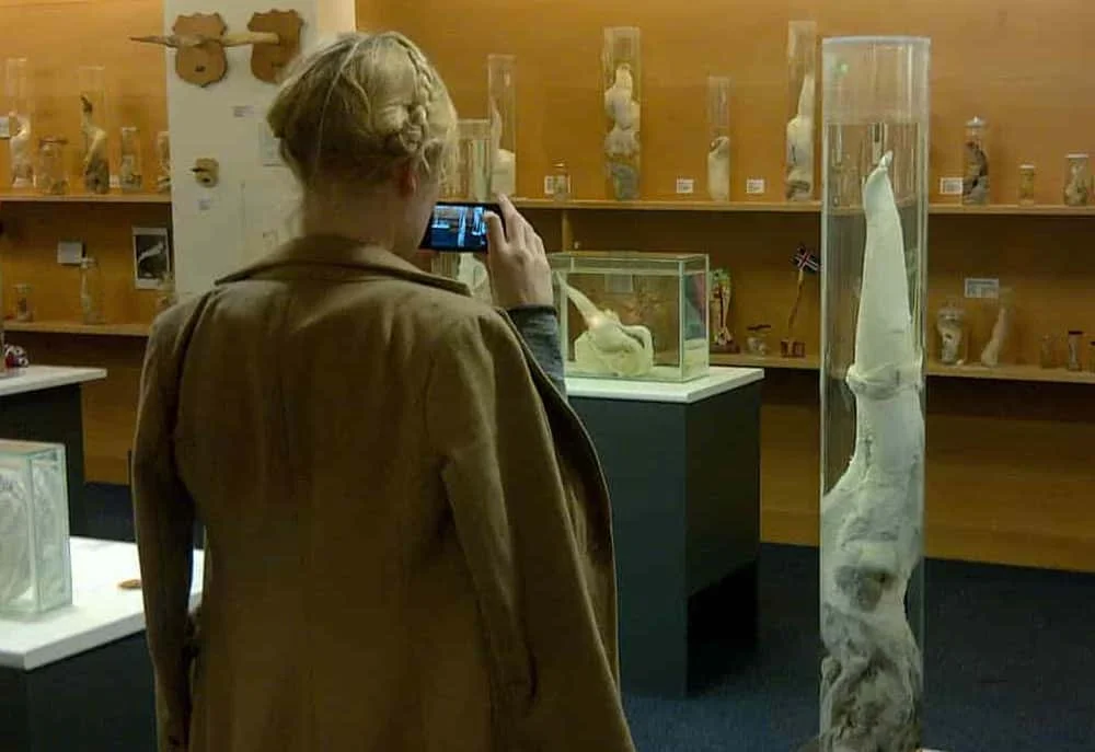 Los 7 museos más insólitos del planeta