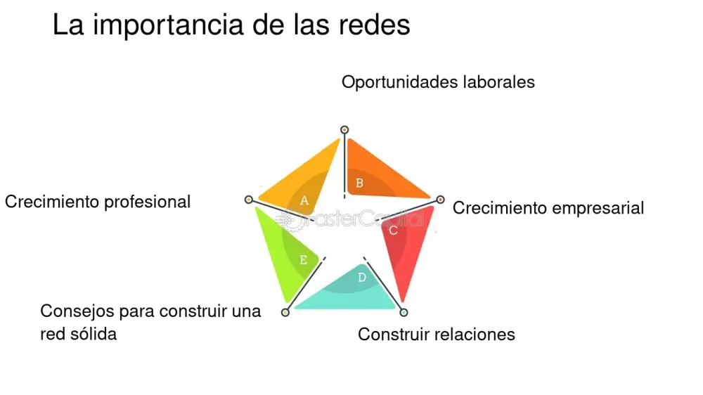 Red de Apoyo: Conexiones que Transforman Vidas