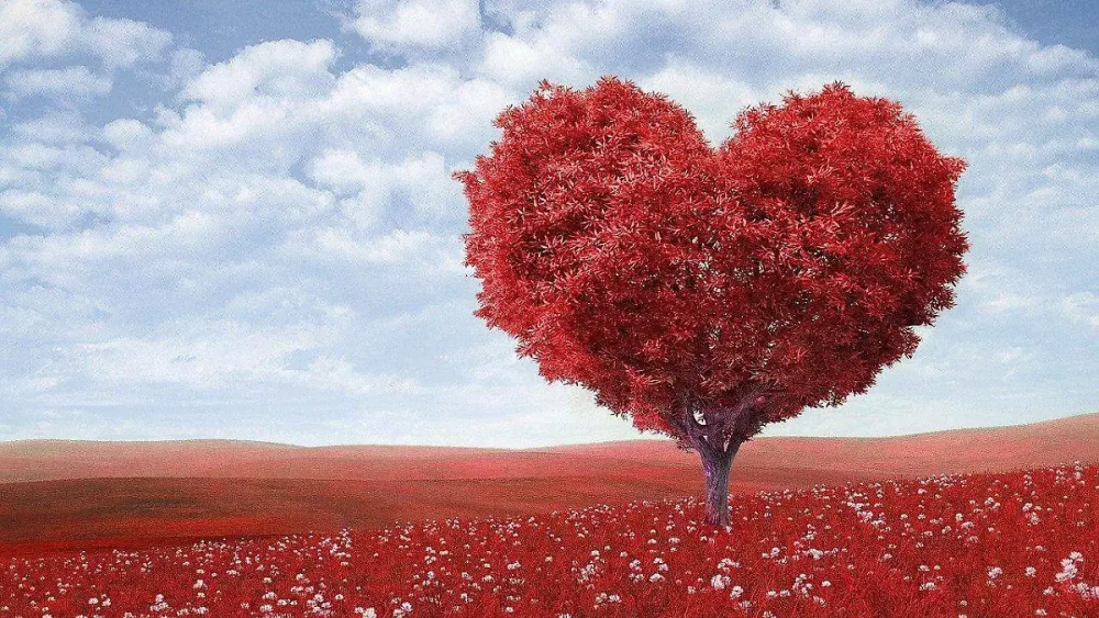 Amor propio: cómo nos resguarda de relaciones tóxicas