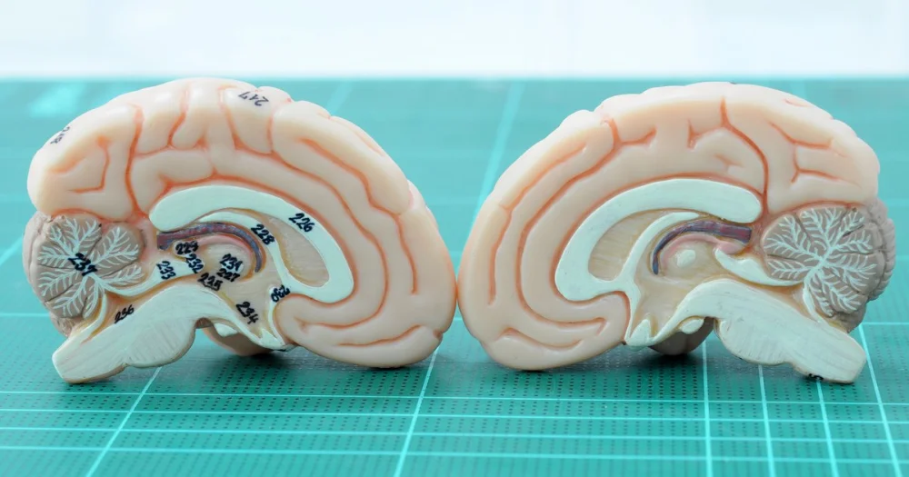 Avances en la Psicología del Cerebro Clínico