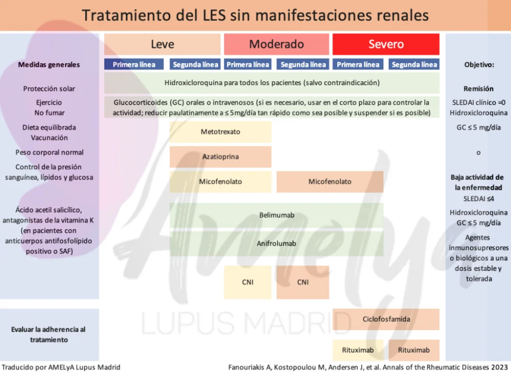 Guía Completa sobre el Lupus Eritematoso Sistémico