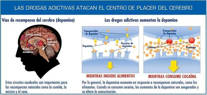 Impacto de adicciones conductuales en el sistema de recompensa