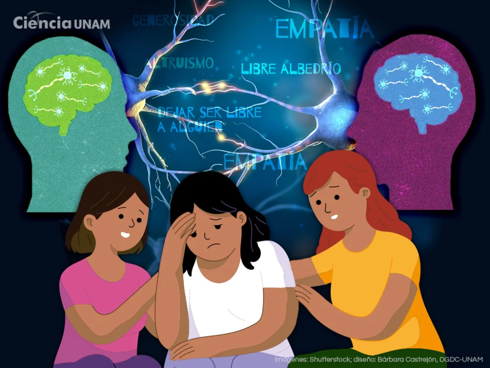 La conexión entre neuronas espejo y empatía
