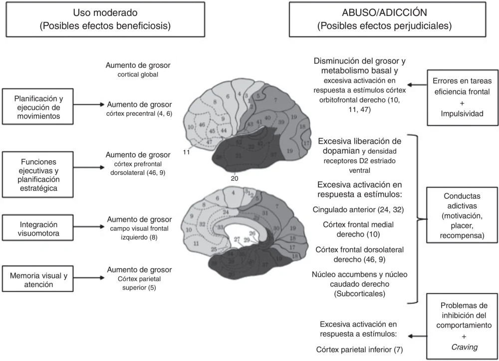 La Peligrosidad de la Adicción al Juego