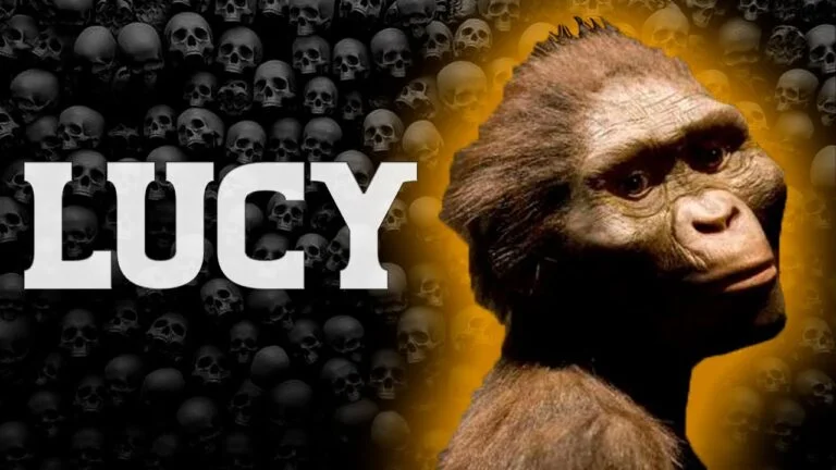 Misterios de Lucy: el Australopithecus que redefinió la evolución