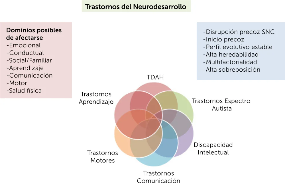 Orígenes neurológicos de las dificultades de aprendizaje
