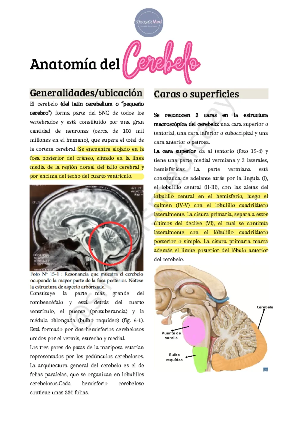 Profundiza en la complejidad de la Enfermedad de Balo