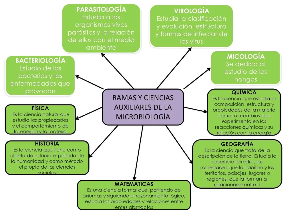 Razones para estudiar microbiología: una disciplina fascinante