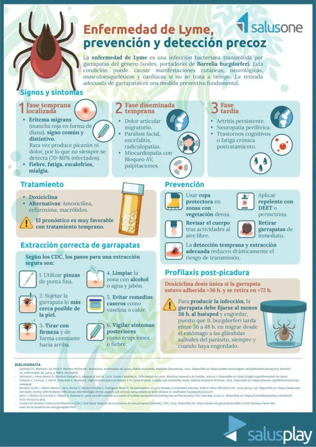 Guía completa sobre la enfermedad de Lyme