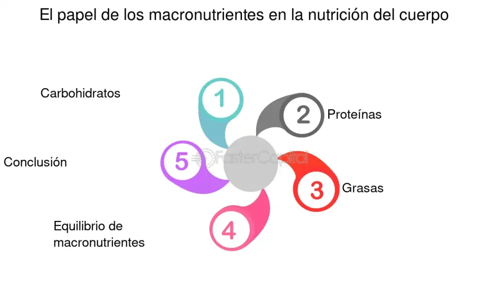 Guía esencial: Comprende los macronutrientes clave