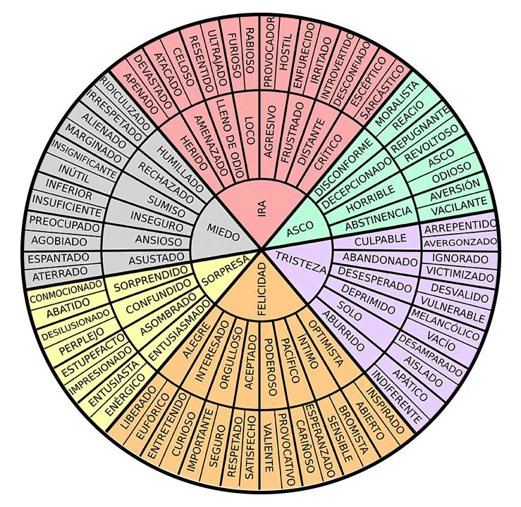 Guía para identificar y diferenciar emociones y sentimientos