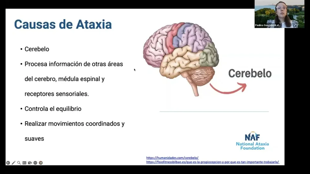 Impacto y consecuencias de las enfermedades cerebelosas