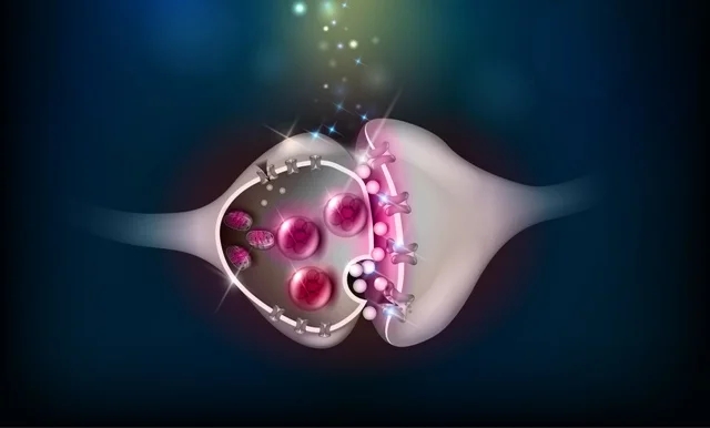 Los Secretos Detrás de los Neurotransmisores de la Felicidad