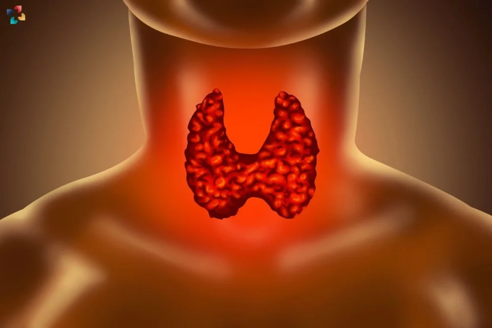 Afecciones del sistema endocrino: una guía detallada