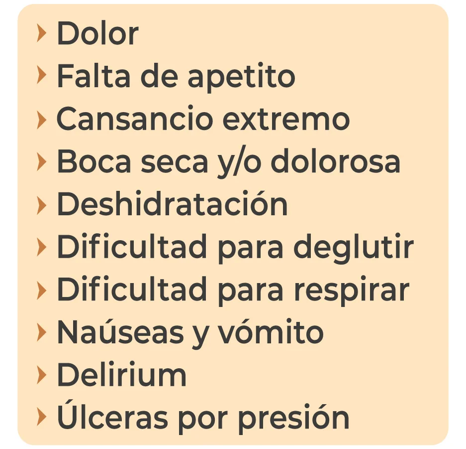 Afrontar la enfermedad: Cuidados paliativos para un buen morir