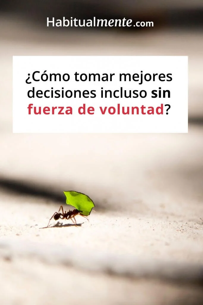 Domina tus acciones y decisiones diarias