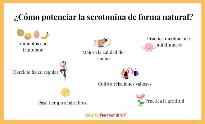 Estrategias para Elevar los Niveles de Serotonina