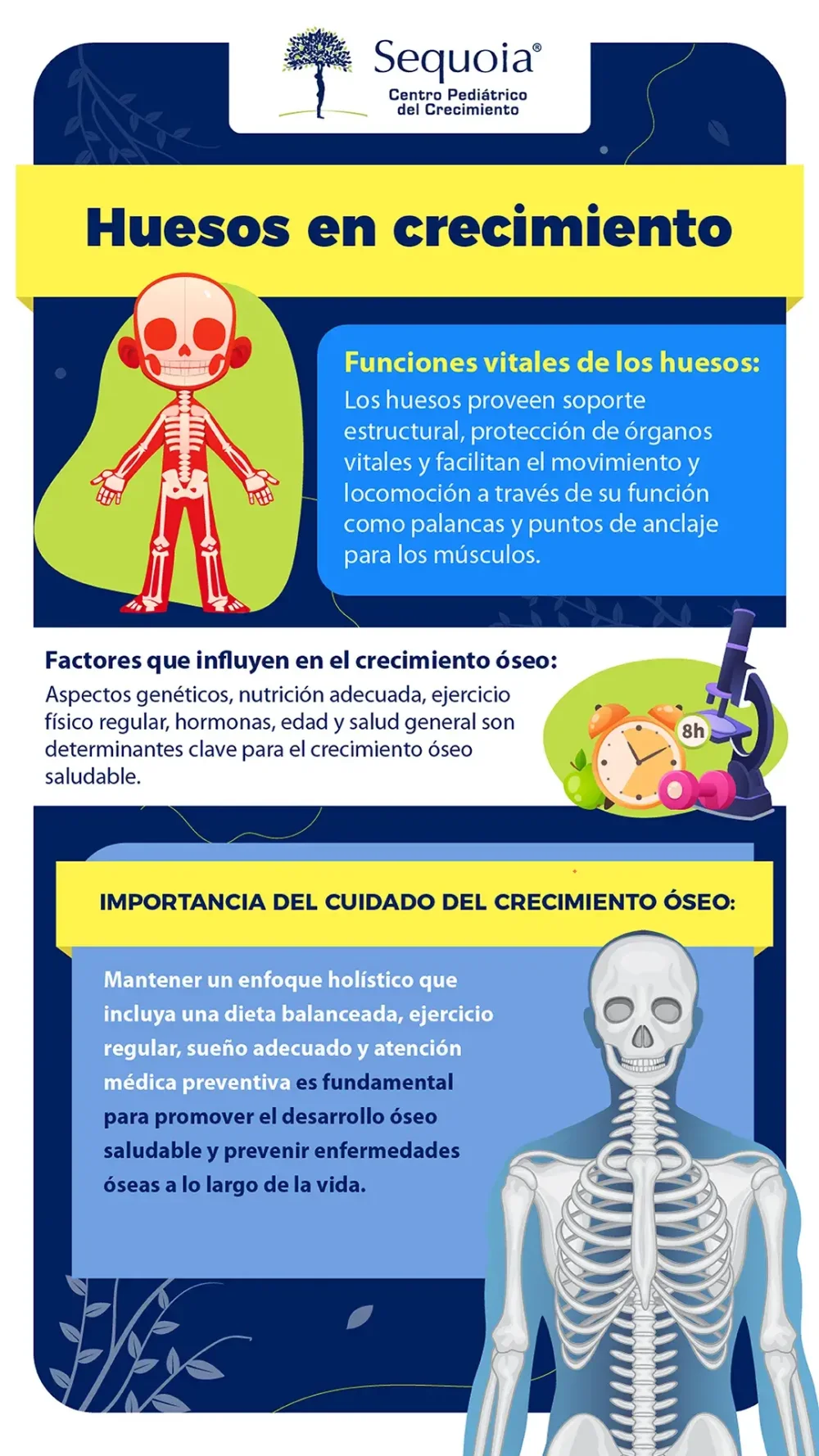 Impacto de las Enfermedades en el Sistema Óseo