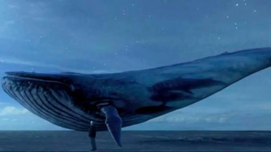 La preocupante conexión entre la ballena azul y los jóvenes