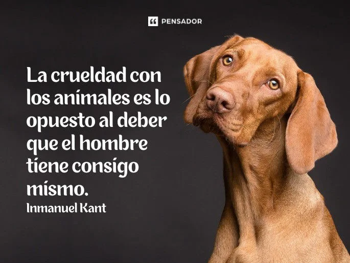 Palabras de defensa y protección para los animales