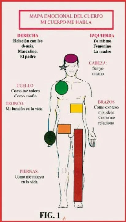 Cartografía Emocional del Cuerpo Humano