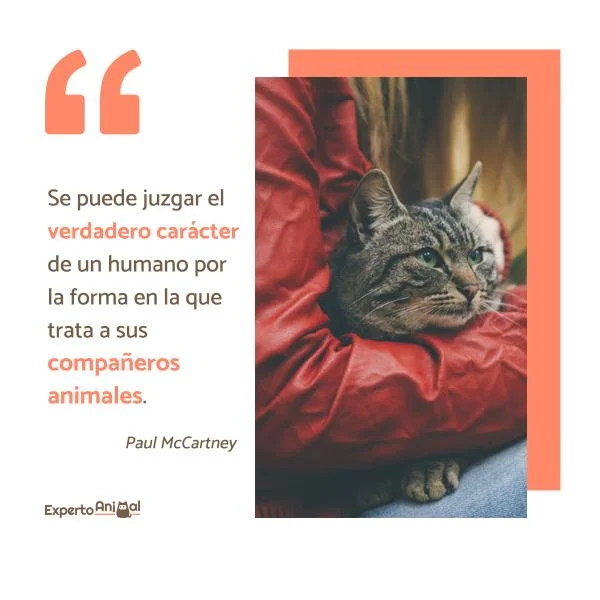 Citas Inspiradoras del Mundo Animal
