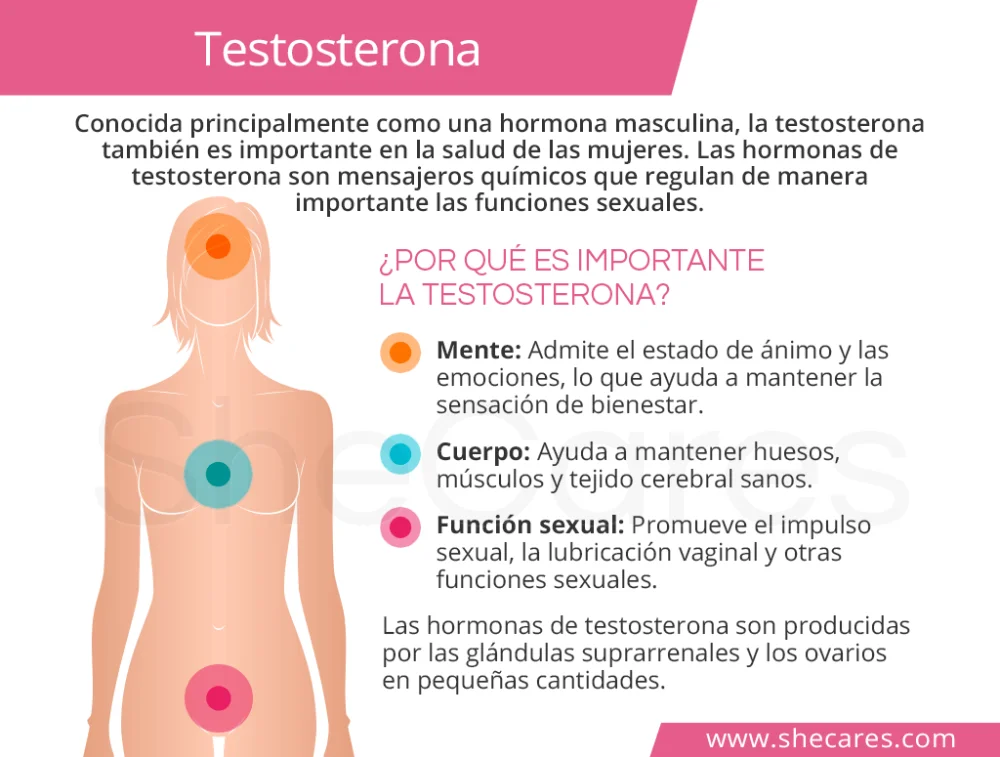 Impacto de la testosterona en tu salud y bienestar