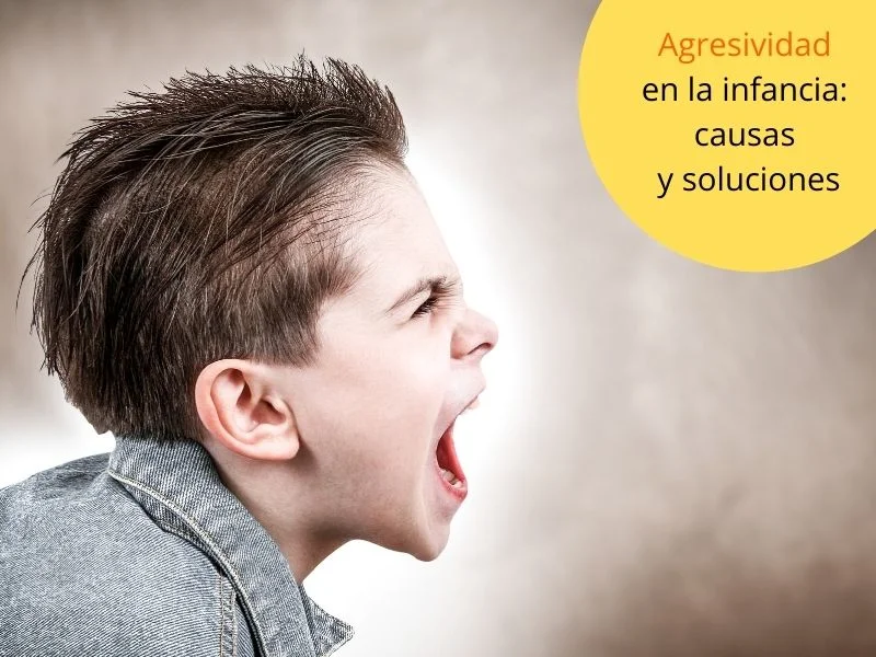 ¿Por qué los niños desarrollan comportamientos violentos?