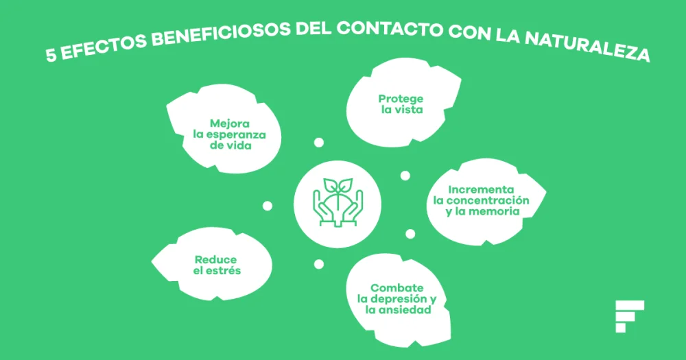 Ventajas de Aceptar las Cosas en su Estado Natural