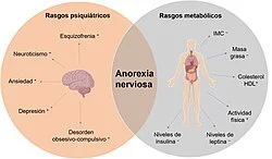 Distinción entre Anorexia y Anorexia Nerviosa: Esencial entenderlos