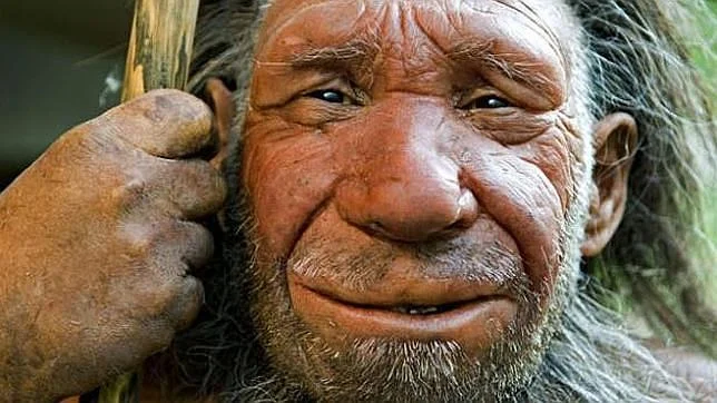 ¿Es nuestra especie más inteligente que los neandertales?