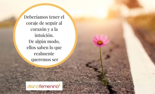 Finalizar ciclos vitales sin fracasar en el intento