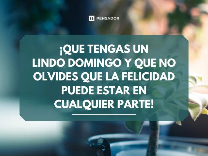 Inspiradoras palabras para iluminar tu domingo