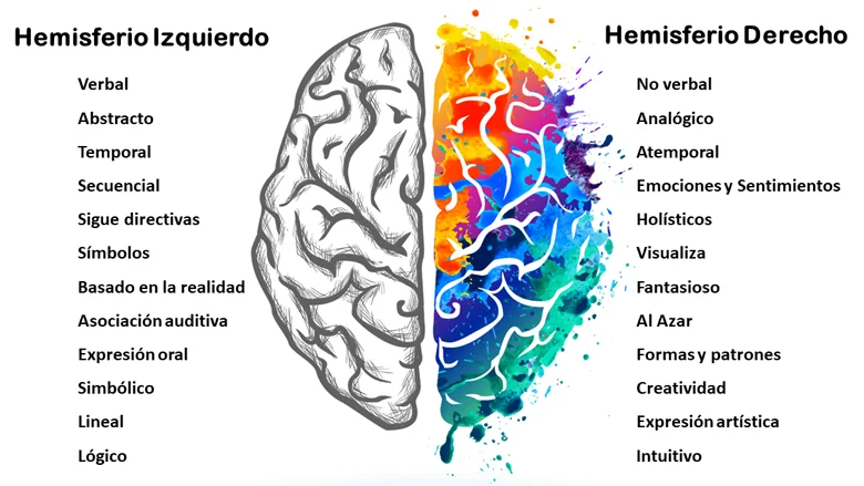 Poder del hemisferio cerebral derecho: creatividad y percepción