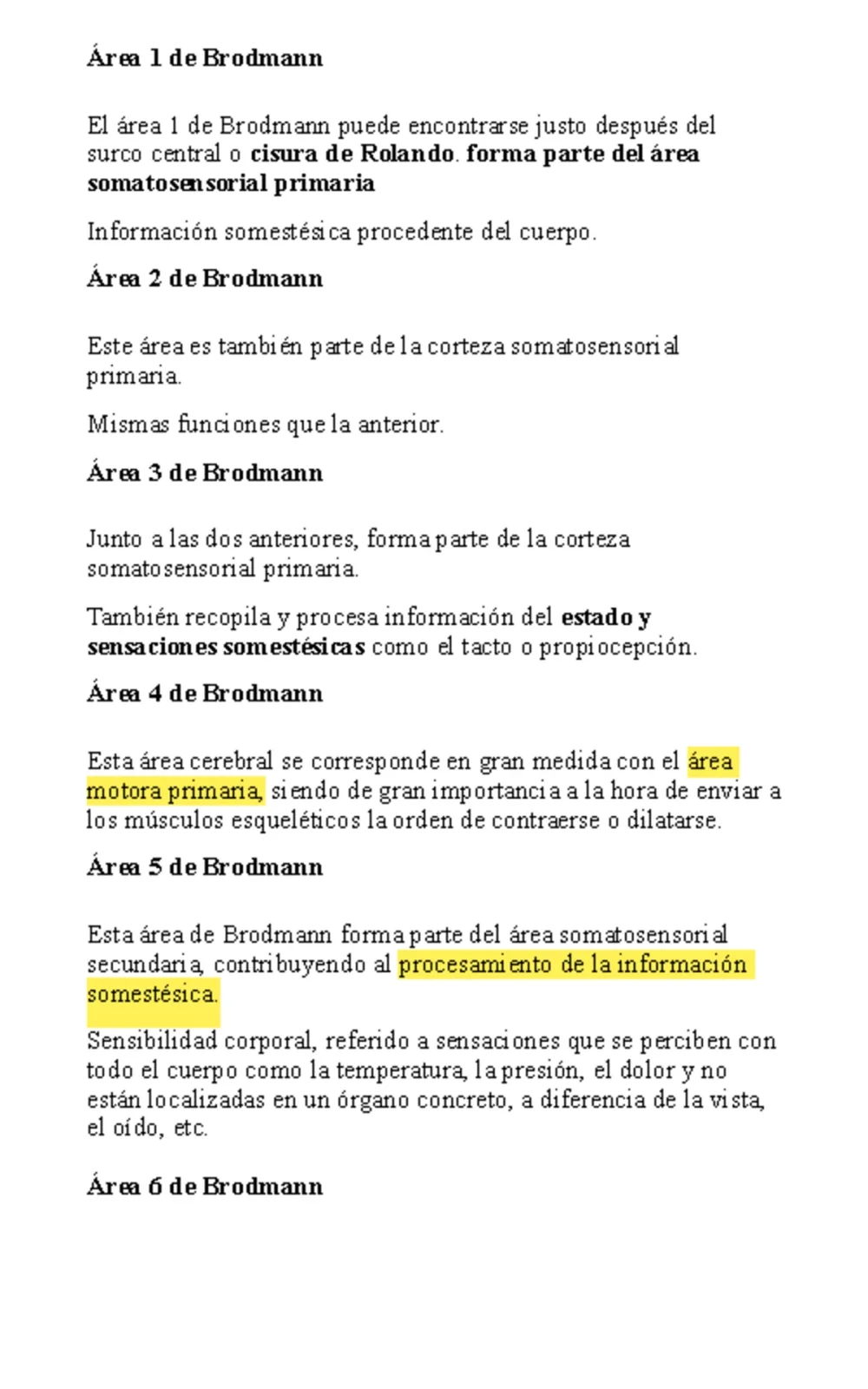 Secretos del Núcleo del Rafe: Funciones Clave y Relevancia