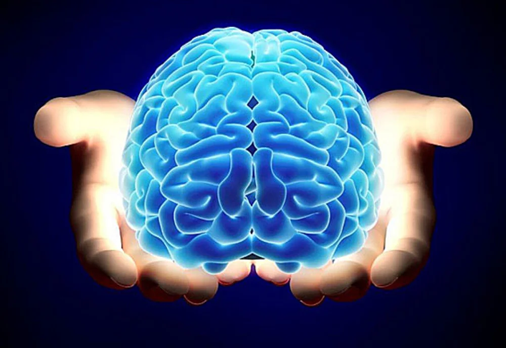 Secretos del Potencial de la Materia Gris Cerebral