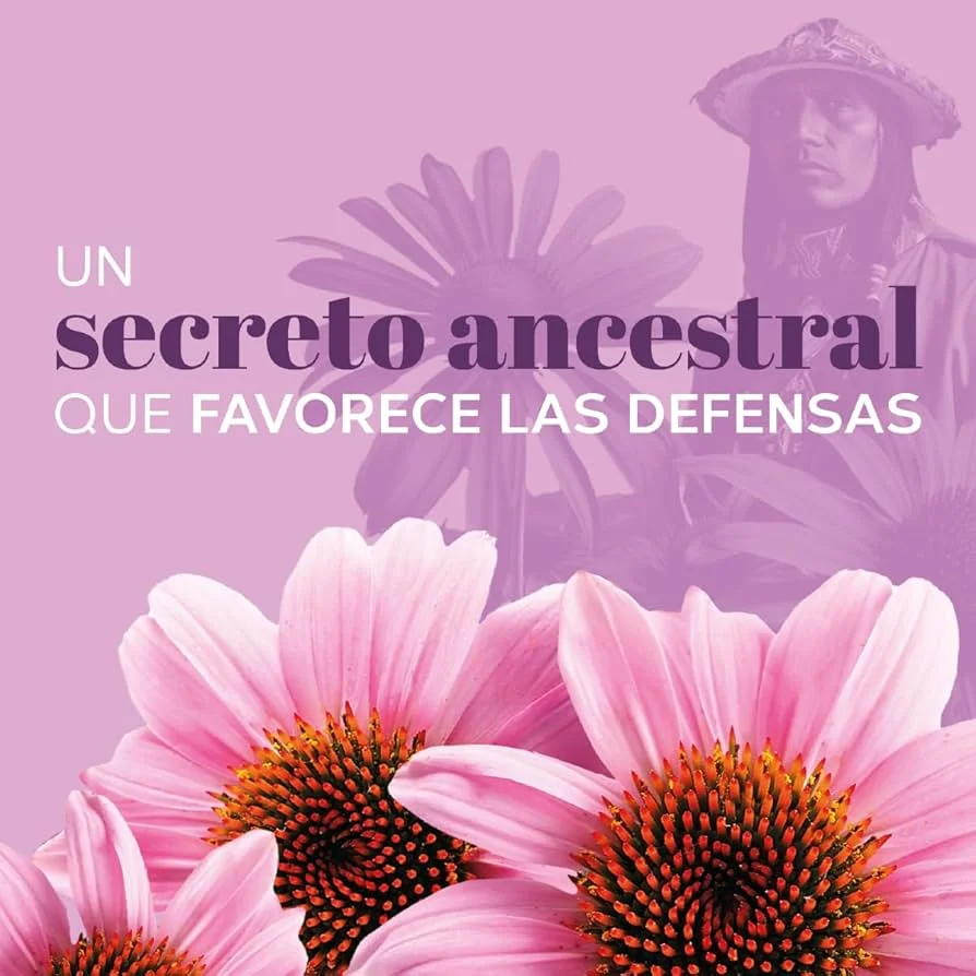Secretos y beneficios de la equinácea para tu salud