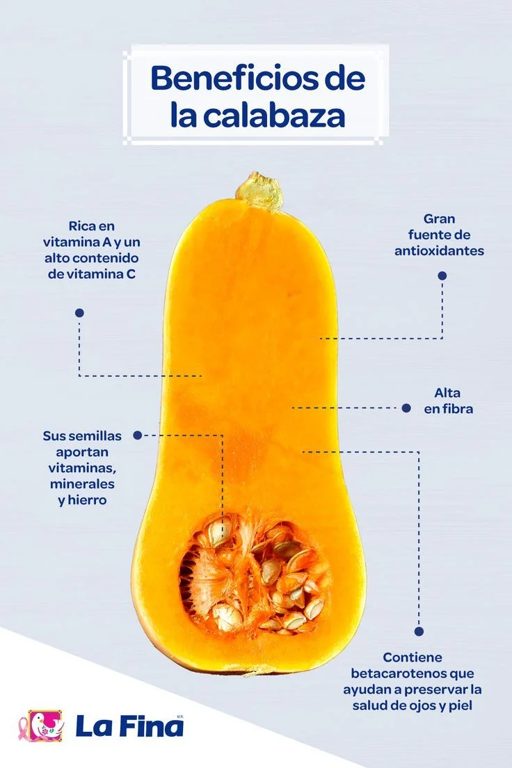 Ventajas del zapallo para tu salud y bienestar