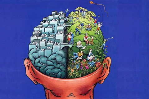 Verdades y mitos sobre los hemisferios cerebrales